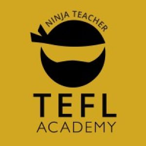 Ninja Teacher Academy